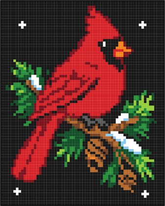 Cardinal pixel art from the book